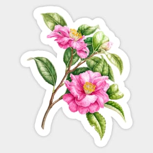 camellia Sticker